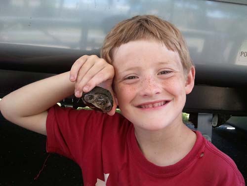 joshua turtle
